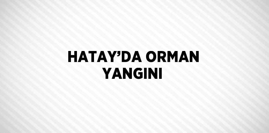HATAY’DA ORMAN YANGINI