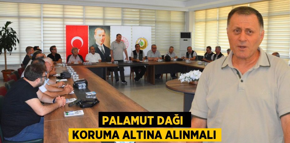 PALAMUT DAĞI  KORUMA ALTINA ALINMALI