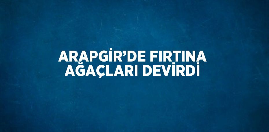 ARAPGİR’DE FIRTINA AĞAÇLARI DEVİRDİ