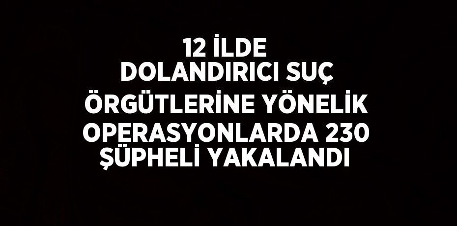 12 İLDE DOLANDIRICI SUÇ ÖRGÜTLERİNE YÖNELİK OPERASYONLARDA 230 ŞÜPHELİ YAKALANDI