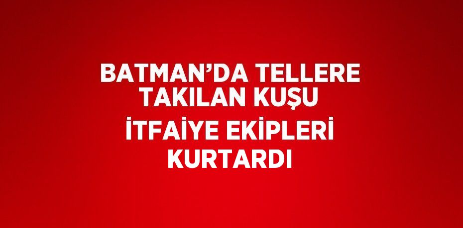 BATMAN’DA TELLERE TAKILAN KUŞU İTFAİYE EKİPLERİ KURTARDI