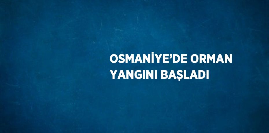 OSMANİYE’DE ORMAN YANGINI BAŞLADI
