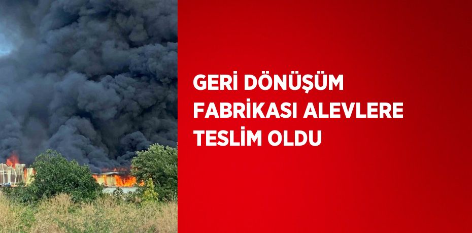 GERİ DÖNÜŞÜM FABRİKASI ALEVLERE TESLİM OLDU