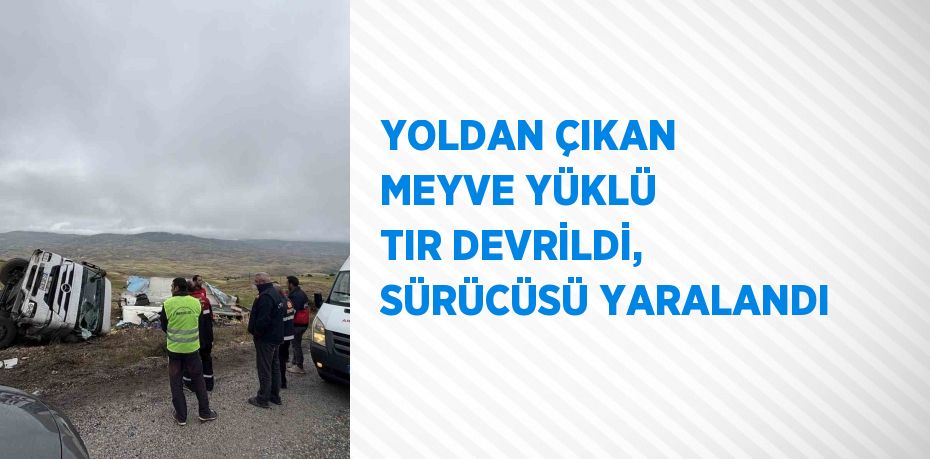 YOLDAN ÇIKAN MEYVE YÜKLÜ TIR DEVRİLDİ, SÜRÜCÜSÜ YARALANDI