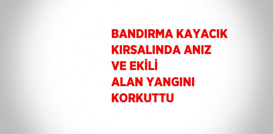BANDIRMA KAYACIK KIRSALINDA ANIZ VE EKİLİ ALAN YANGINI KORKUTTU