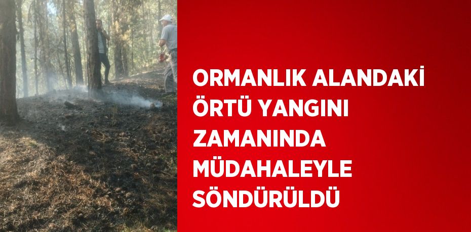 ORMANLIK ALANDAKİ ÖRTÜ YANGINI ZAMANINDA MÜDAHALEYLE SÖNDÜRÜLDÜ