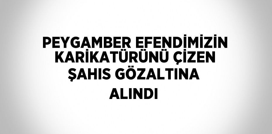 PEYGAMBER EFENDİMİZİN KARİKATÜRÜNÜ ÇİZEN ŞAHIS GÖZALTINA ALINDI