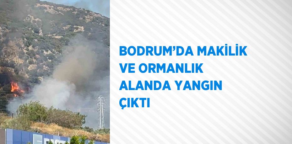 BODRUM’DA MAKİLİK VE ORMANLIK ALANDA YANGIN ÇIKTI