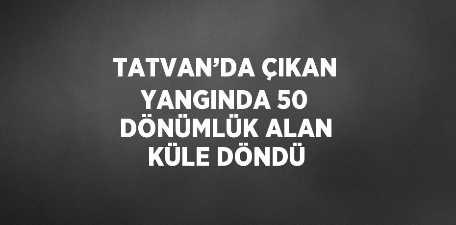TATVAN’DA ÇIKAN YANGINDA 50 DÖNÜMLÜK ALAN KÜLE DÖNDÜ