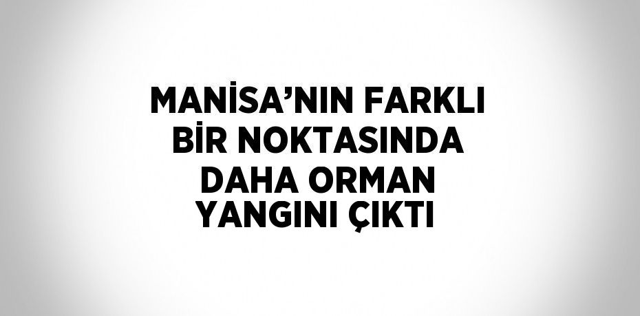 MANİSA’NIN FARKLI BİR NOKTASINDA DAHA ORMAN YANGINI ÇIKTI