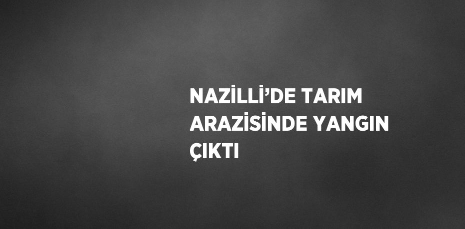 NAZİLLİ’DE TARIM ARAZİSİNDE YANGIN ÇIKTI