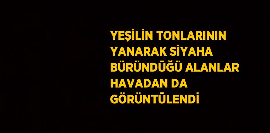 YEŞİLİN TONLARININ YANARAK SİYAHA BÜRÜNDÜĞÜ ALANLAR HAVADAN DA GÖRÜNTÜLENDİ