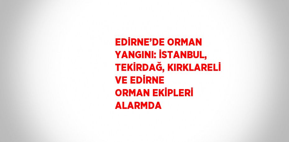 EDİRNE’DE ORMAN YANGINI: İSTANBUL, TEKİRDAĞ, KIRKLARELİ VE EDİRNE ORMAN EKİPLERİ ALARMDA