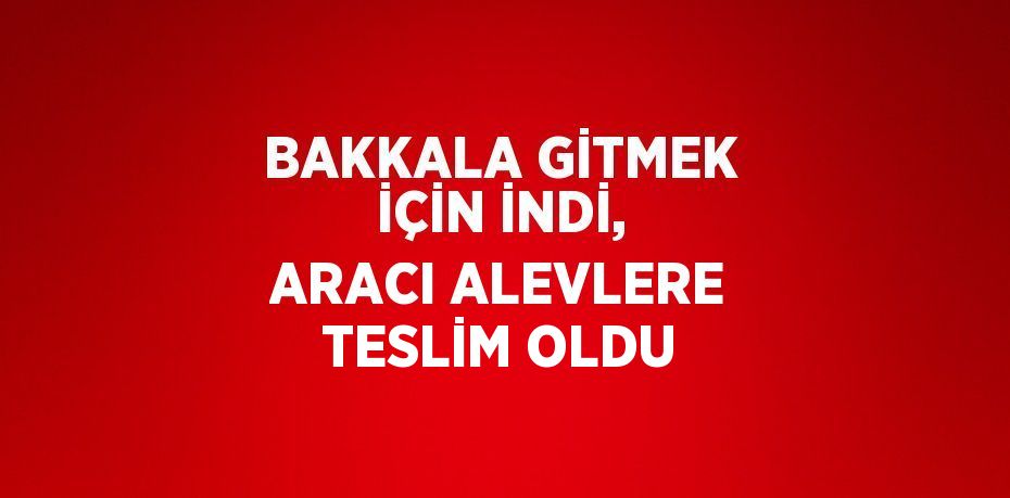 BAKKALA GİTMEK İÇİN İNDİ, ARACI ALEVLERE TESLİM OLDU