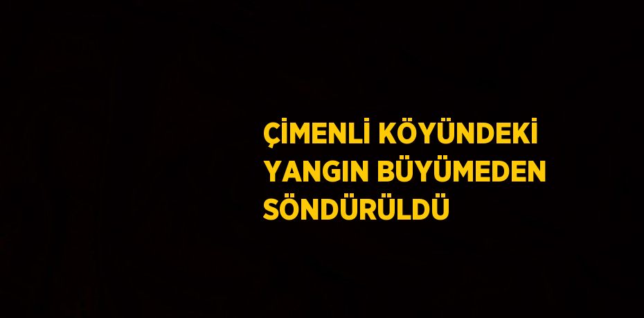 ÇİMENLİ KÖYÜNDEKİ YANGIN BÜYÜMEDEN SÖNDÜRÜLDÜ