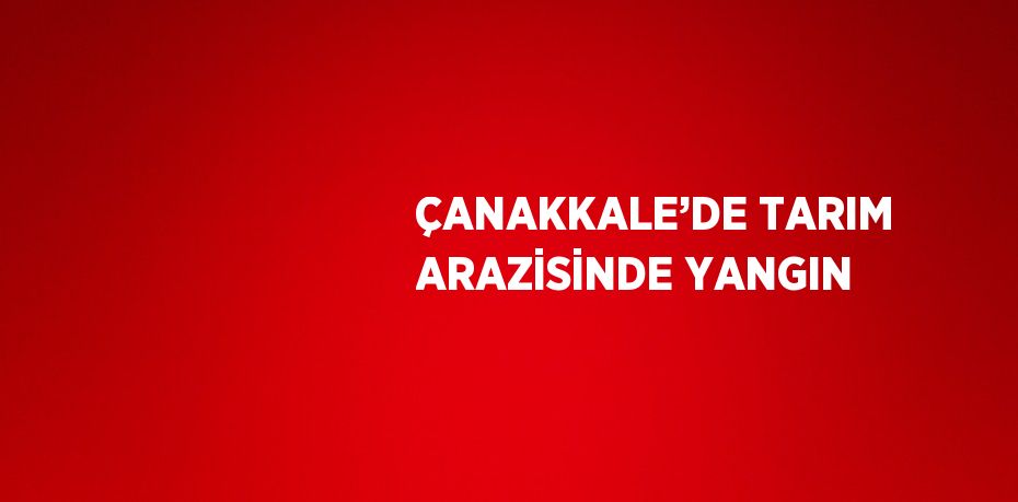 ÇANAKKALE’DE TARIM ARAZİSİNDE YANGIN