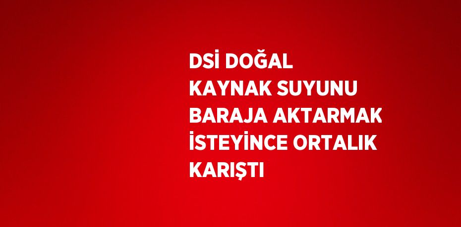 DSİ DOĞAL KAYNAK SUYUNU BARAJA AKTARMAK İSTEYİNCE ORTALIK KARIŞTI