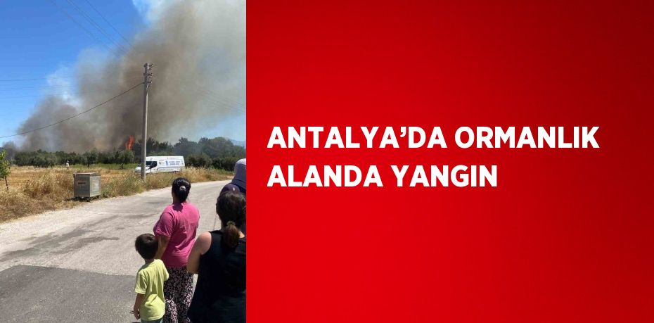 ANTALYA’DA ORMANLIK ALANDA YANGIN