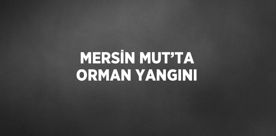 MERSİN MUT’TA ORMAN YANGINI