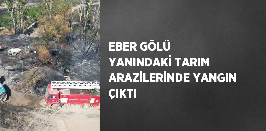 EBER GÖLÜ YANINDAKİ TARIM ARAZİLERİNDE YANGIN ÇIKTI