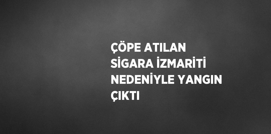 ÇÖPE ATILAN SİGARA İZMARİTİ NEDENİYLE YANGIN ÇIKTI