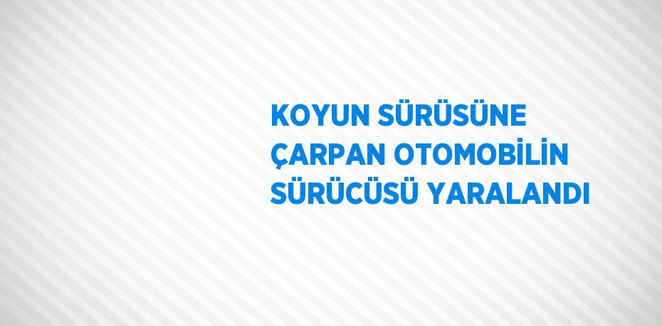 KOYUN SÜRÜSÜNE ÇARPAN OTOMOBİLİN SÜRÜCÜSÜ YARALANDI
