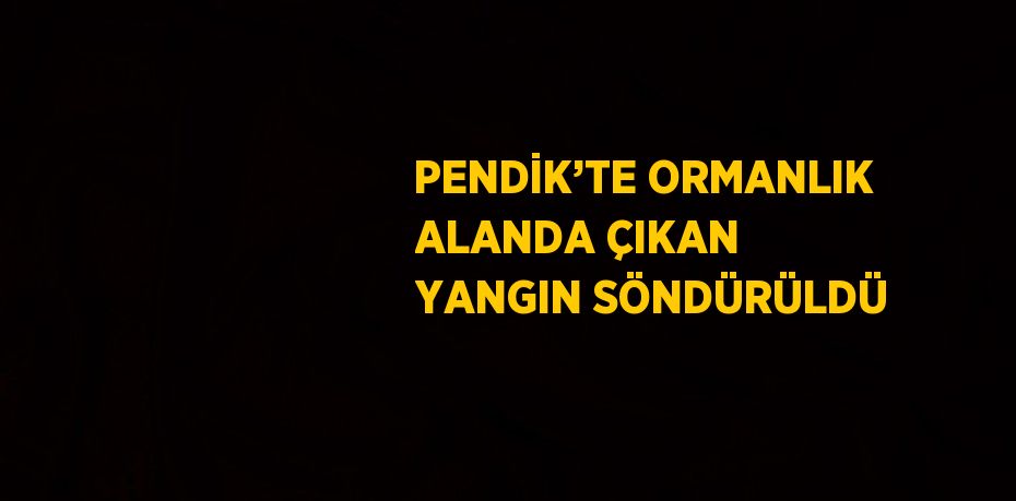 PENDİK’TE ORMANLIK ALANDA ÇIKAN YANGIN SÖNDÜRÜLDÜ