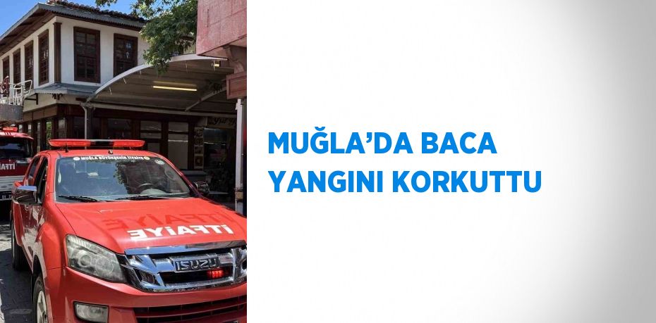 MUĞLA’DA BACA YANGINI KORKUTTU