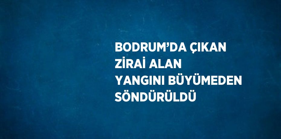 BODRUM’DA ÇIKAN ZİRAİ ALAN YANGINI BÜYÜMEDEN SÖNDÜRÜLDÜ