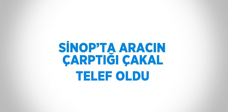 SİNOP’TA ARACIN ÇARPTIĞI ÇAKAL TELEF OLDU