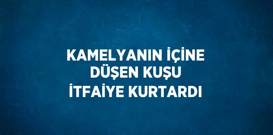 KAMELYANIN İÇİNE DÜŞEN KUŞU İTFAİYE KURTARDI