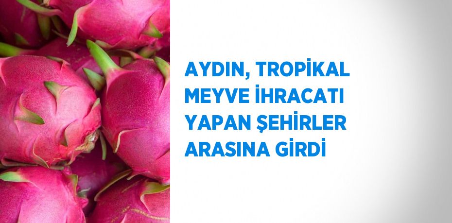 AYDIN, TROPİKAL MEYVE İHRACATI YAPAN ŞEHİRLER ARASINA GİRDİ