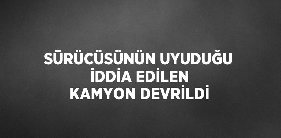 SÜRÜCÜSÜNÜN UYUDUĞU İDDİA EDİLEN KAMYON DEVRİLDİ