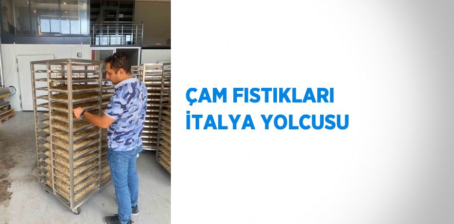 ÇAM FISTIKLARI İTALYA YOLCUSU