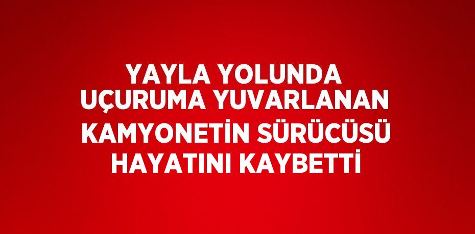 YAYLA YOLUNDA UÇURUMA YUVARLANAN KAMYONETİN SÜRÜCÜSÜ HAYATINI KAYBETTİ