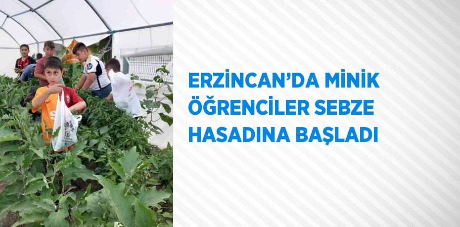 ERZİNCAN’DA MİNİK ÖĞRENCİLER SEBZE HASADINA BAŞLADI