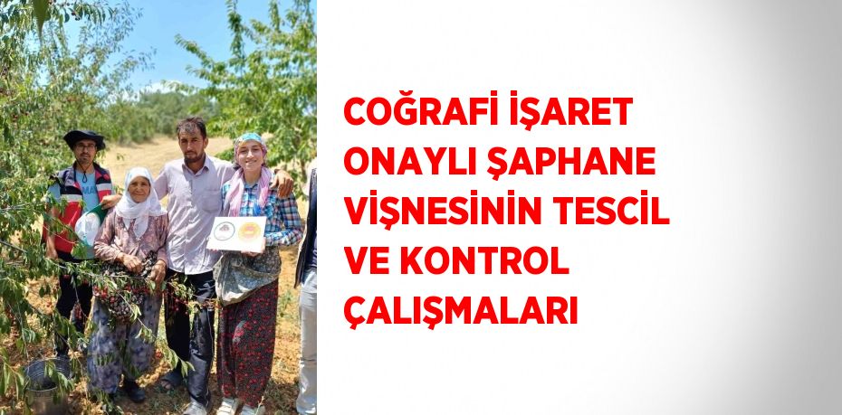 COĞRAFİ İŞARET ONAYLI ŞAPHANE VİŞNESİNİN TESCİL VE KONTROL ÇALIŞMALARI