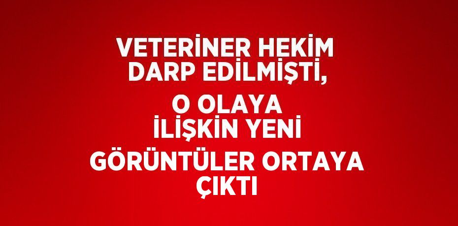 VETERİNER HEKİM DARP EDİLMİŞTİ, O OLAYA İLİŞKİN YENİ GÖRÜNTÜLER ORTAYA ÇIKTI