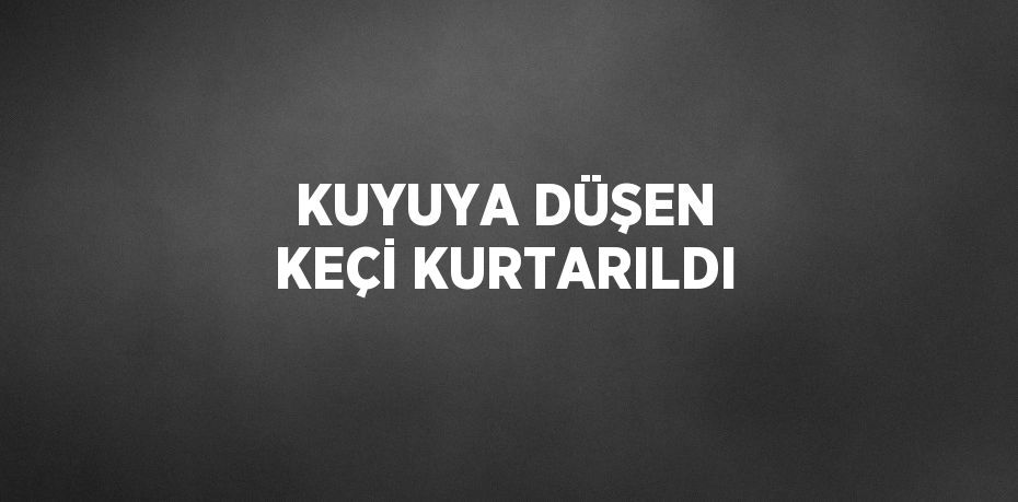 KUYUYA DÜŞEN KEÇİ KURTARILDI