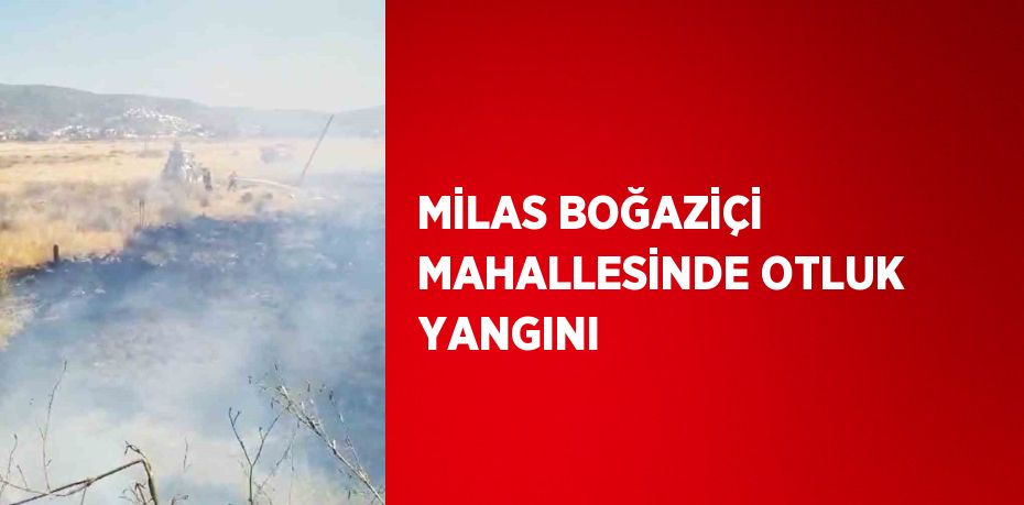 MİLAS BOĞAZİÇİ MAHALLESİNDE OTLUK YANGINI