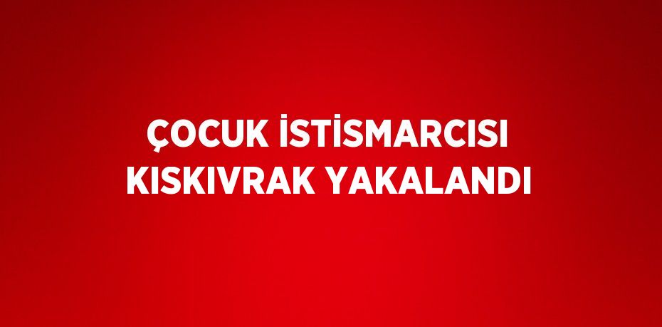 ÇOCUK İSTİSMARCISI KISKIVRAK YAKALANDI