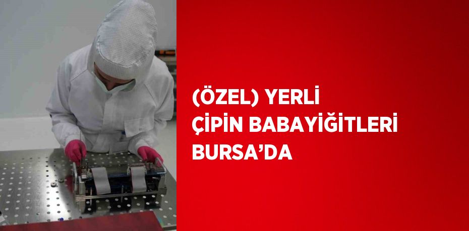 (ÖZEL) YERLİ ÇİPİN BABAYİĞİTLERİ BURSA’DA