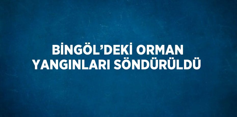 BİNGÖL’DEKİ ORMAN YANGINLARI SÖNDÜRÜLDÜ