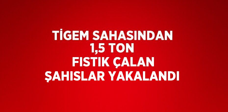 TİGEM SAHASINDAN 1,5 TON FISTIK ÇALAN ŞAHISLAR YAKALANDI