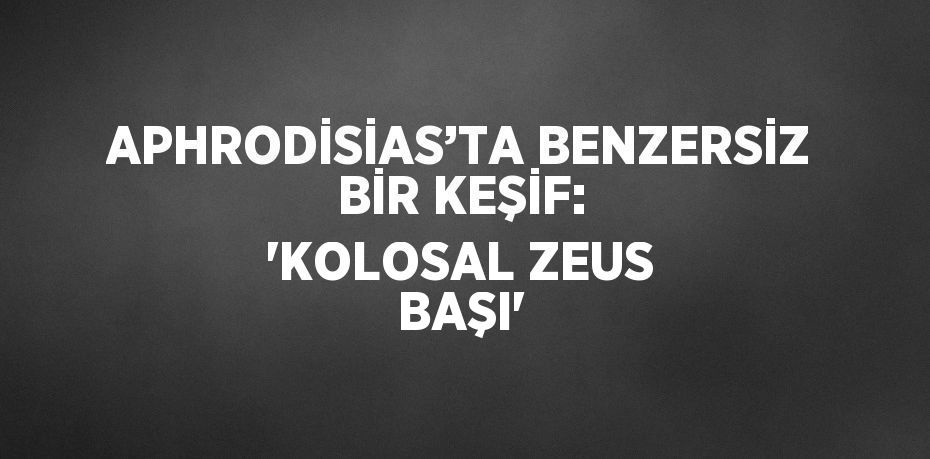 APHRODİSİAS’TA BENZERSİZ BİR KEŞİF: 'KOLOSAL ZEUS BAŞI'