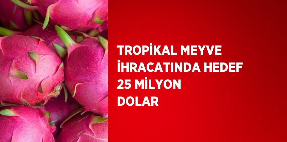 TROPİKAL MEYVE İHRACATINDA HEDEF 25 MİLYON DOLAR