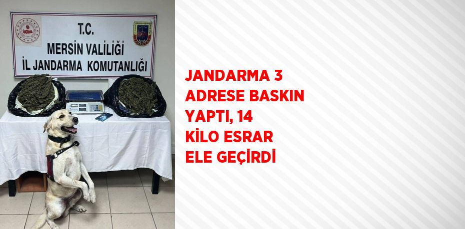 JANDARMA 3 ADRESE BASKIN YAPTI, 14 KİLO ESRAR ELE GEÇİRDİ