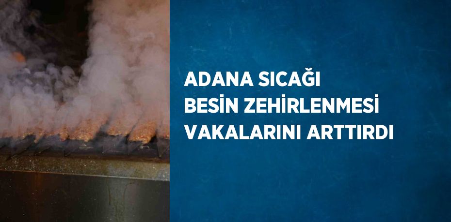 ADANA SICAĞI BESİN ZEHİRLENMESİ VAKALARINI ARTTIRDI