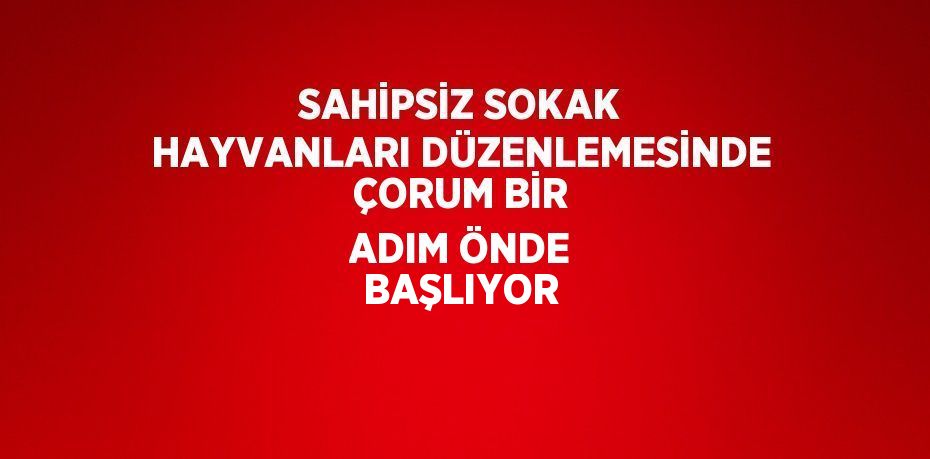 SAHİPSİZ SOKAK HAYVANLARI DÜZENLEMESİNDE ÇORUM BİR ADIM ÖNDE BAŞLIYOR