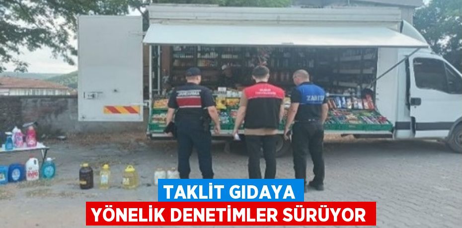 TAKLİT GIDAYA YÖNELİK DENETİMLER SÜRÜYOR